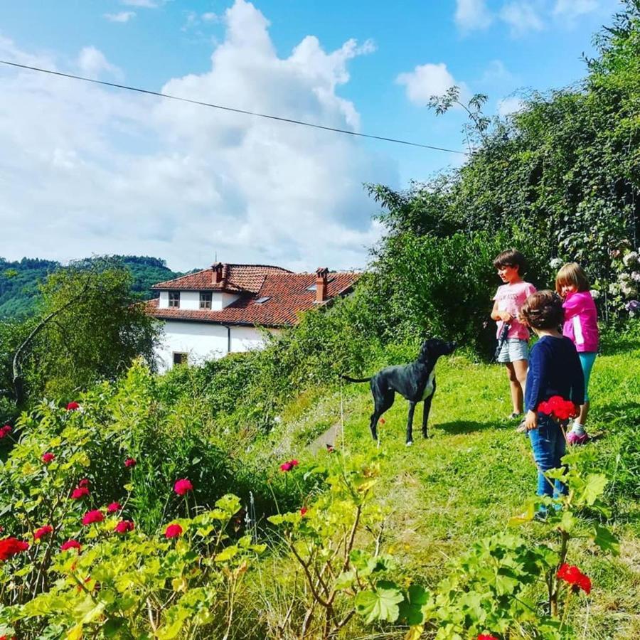 La Asturxana Guest House Malleza Екстериор снимка